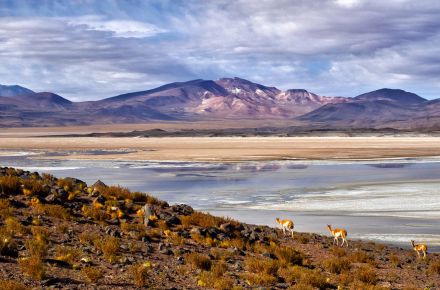 Atacama