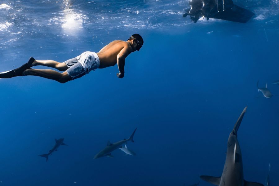 Polinezja Francuska oferta, Polinezja wycieczka, Polinezja wakacje