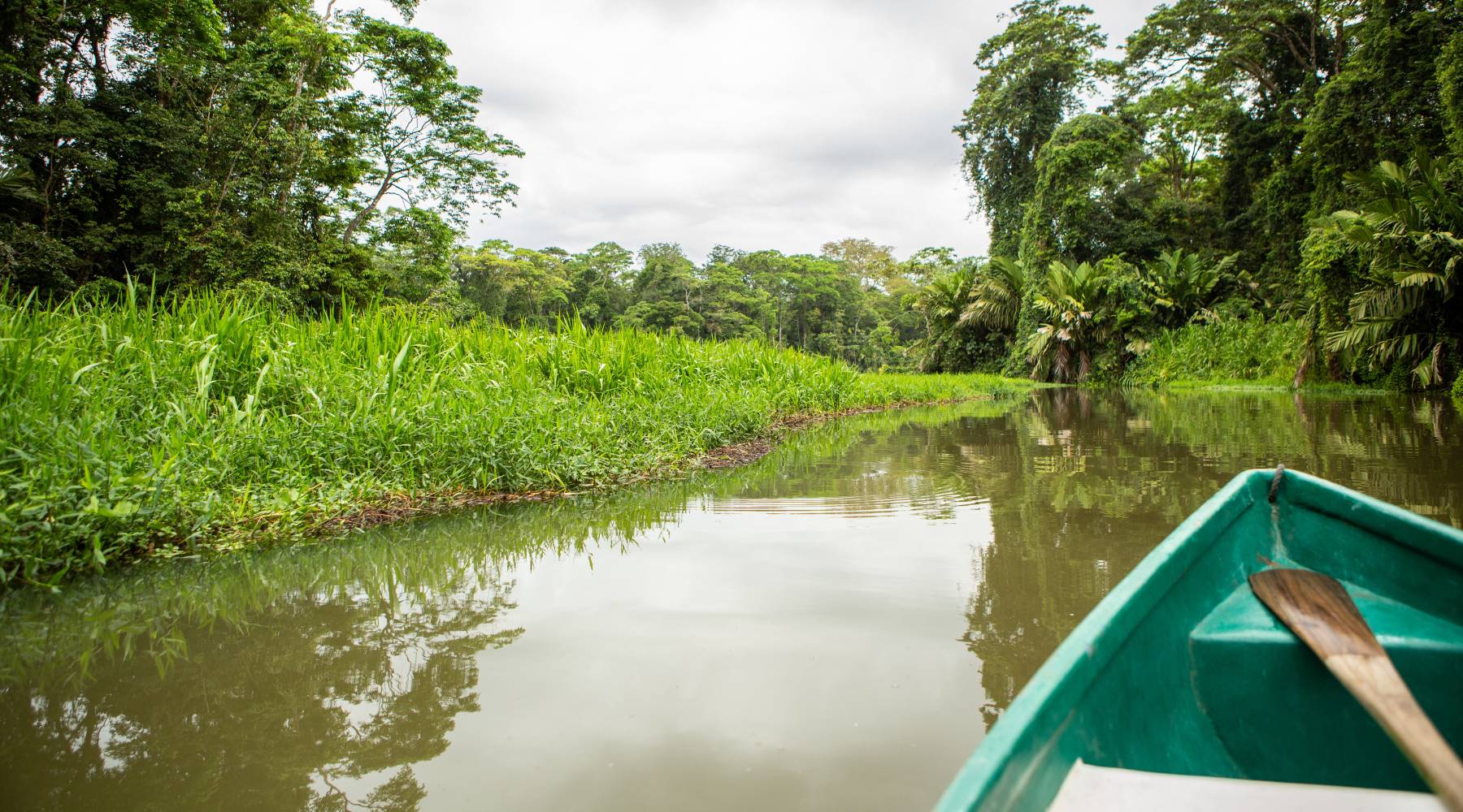 Kostaryka, Tortuguero