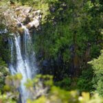 Mauritius, frederica nature reserve