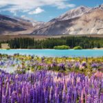 Nowa Zelandia, Nowa Zelandia, Tekapo