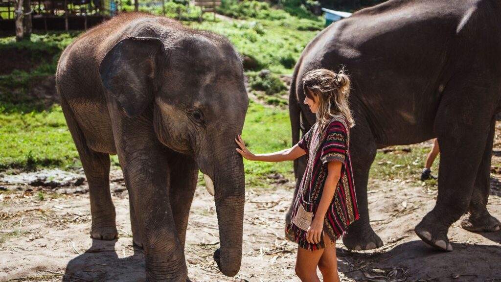Sri Lanka, sanktuarium słoni