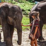 Sri Lanka, sanktuarium słoni