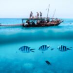 Zanzibar, safari blue