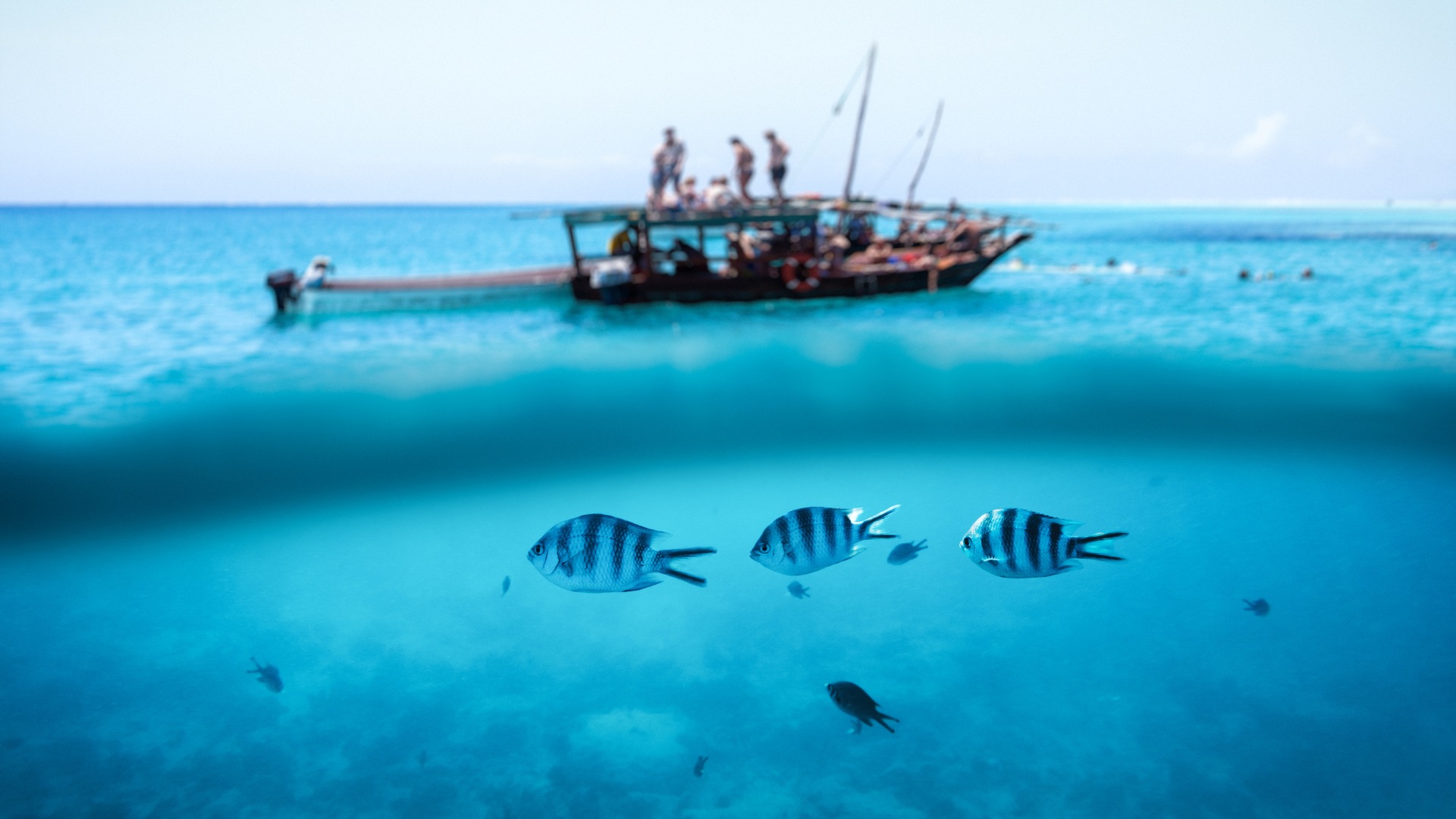 Zanzibar, safari blue