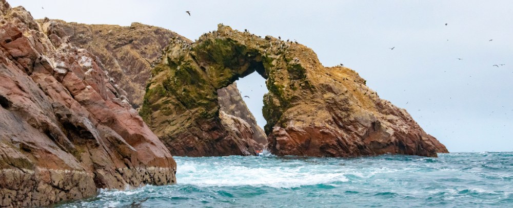 Peru, Ballestas