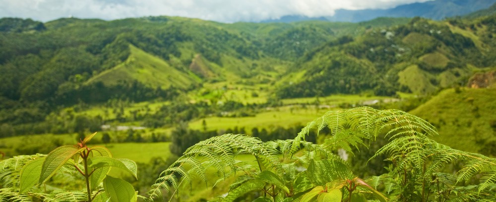 Kolumbia oferta, Kolumbia wycieczka, Kolumbia Cafetera salento