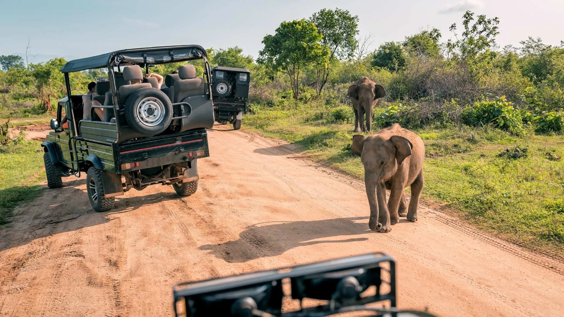 Sri Lanka oferta, Sri Lanka wycieczka, Sri Lanka safari