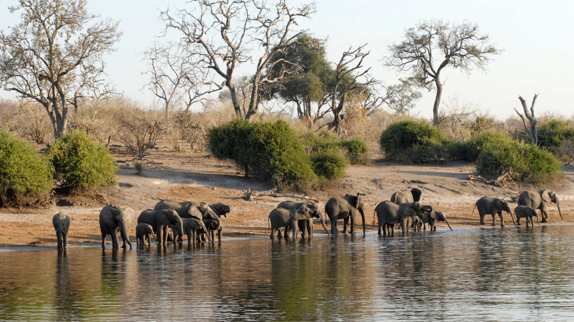 Botswana, Chobe