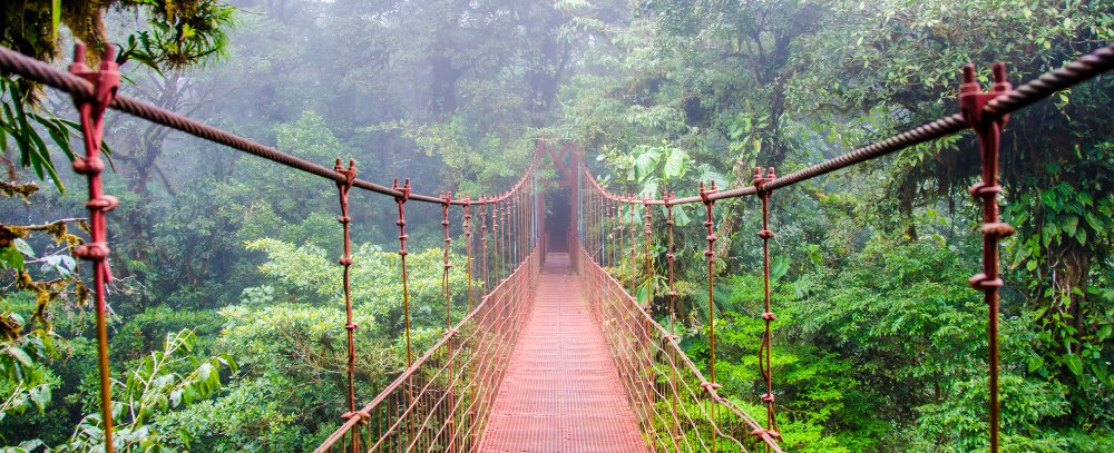Kostaryka, Monteverde