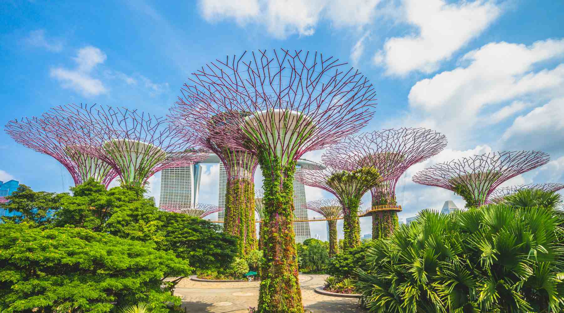 Singapur oferta, Singapur wycieczka, Singapur Gardens By the Bay