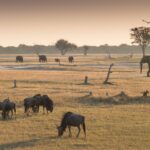Zimbabwe, Hwange