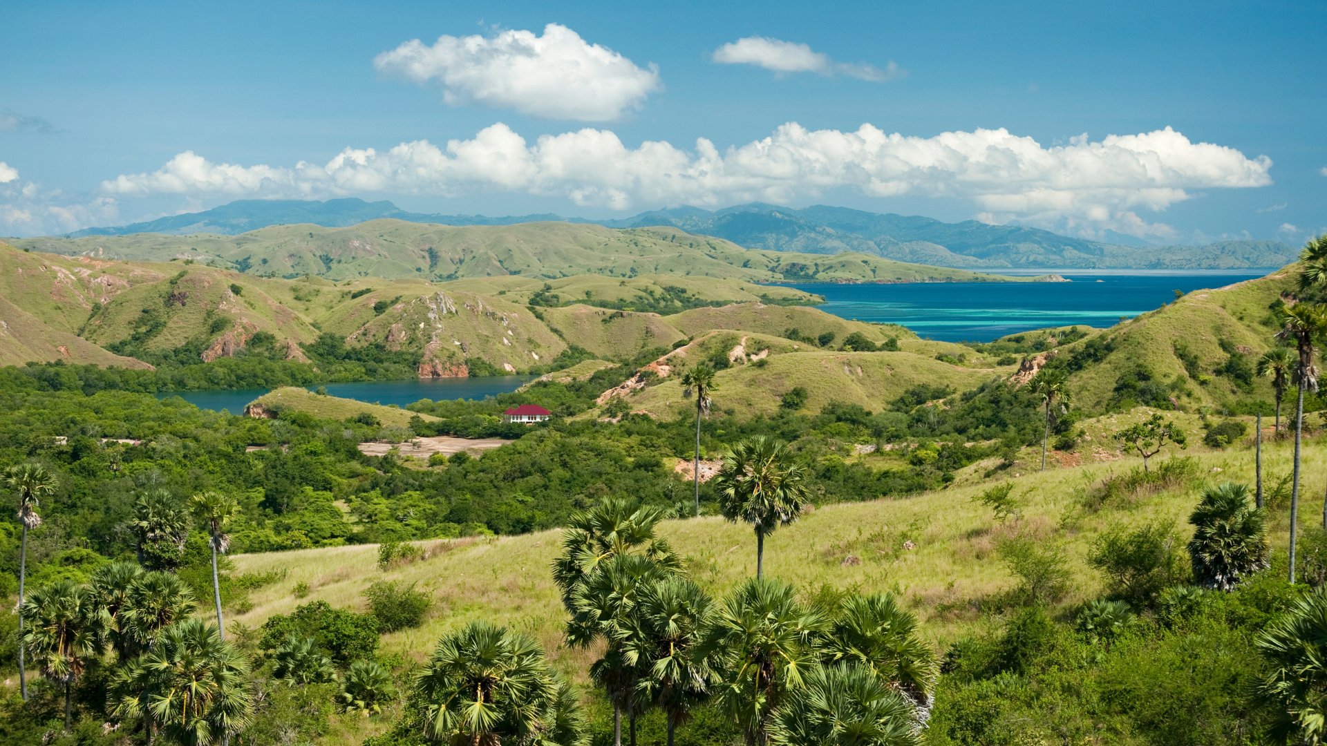 Rinca