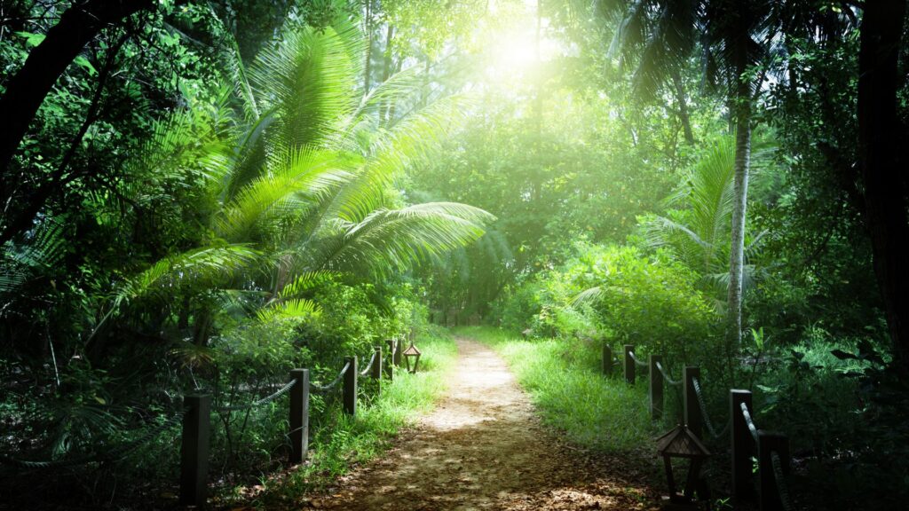 Seszele oferta, Seszele wycieczka, Seszele wakacje