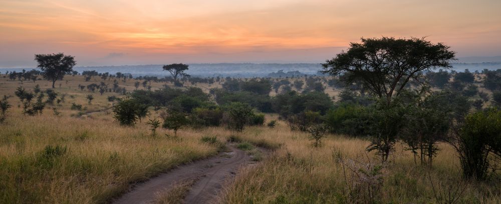 Uganda oferta, Uganda wycieczka, Uganda wakacje
