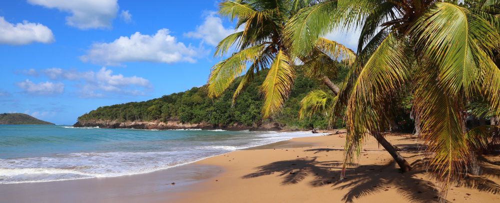 Gwadelupa oferta, Gwadelupa wakacje, Gwadelupa wycieczka