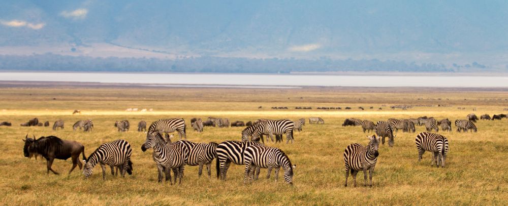 Tanzania oferta, Tanzania wycieczka, Tanzania wakacje