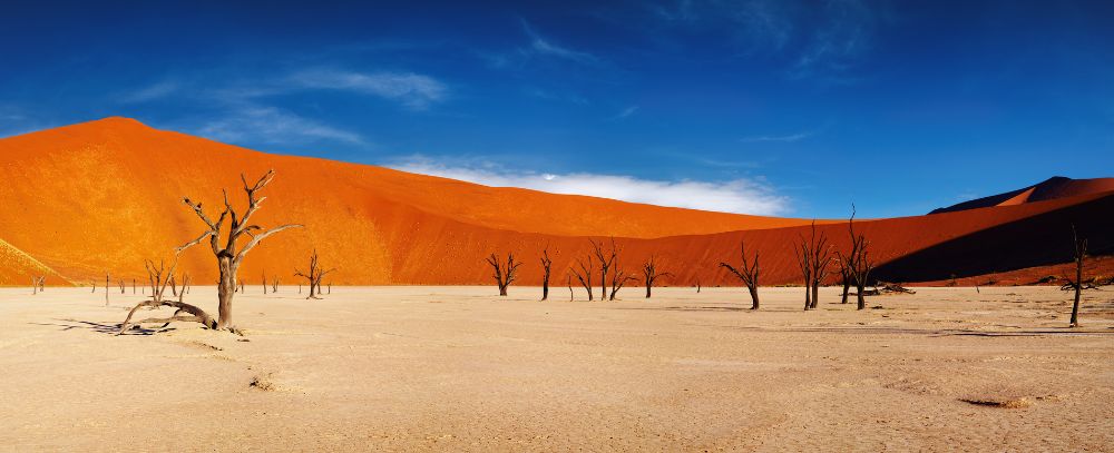 Namibia oferta, Namibia wycieczka, Namibia Namib