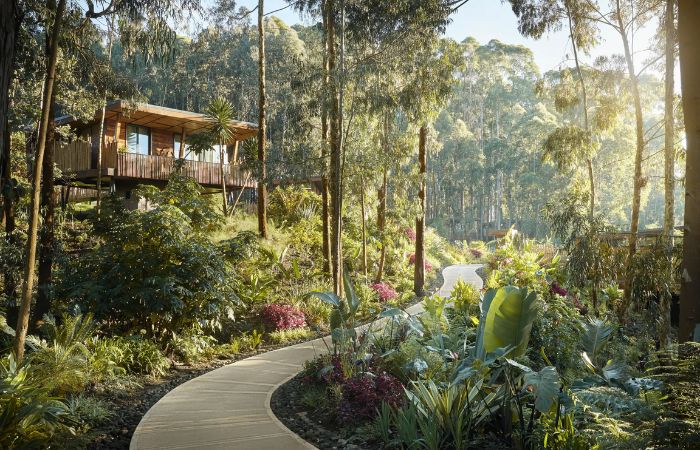 One&Only Gorilla's Nest, Ruhengeri