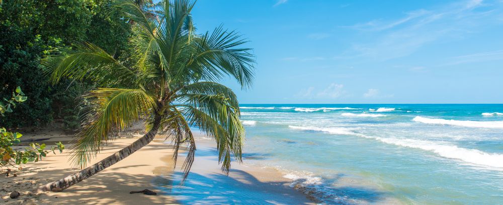 Rejs oferta, Rejs wycieczka, Rejs Icon of the Sea