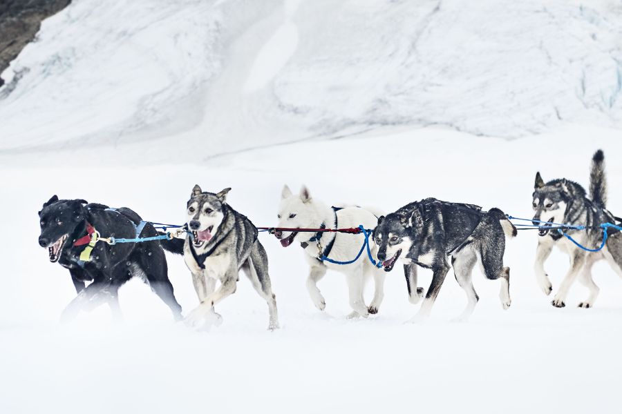 Alaska oferta, Alaska wycieczka, Alaska rejs