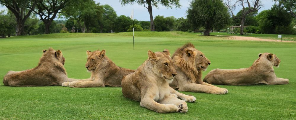 RPA oferta, RPA wycieczka, RPA wakacje