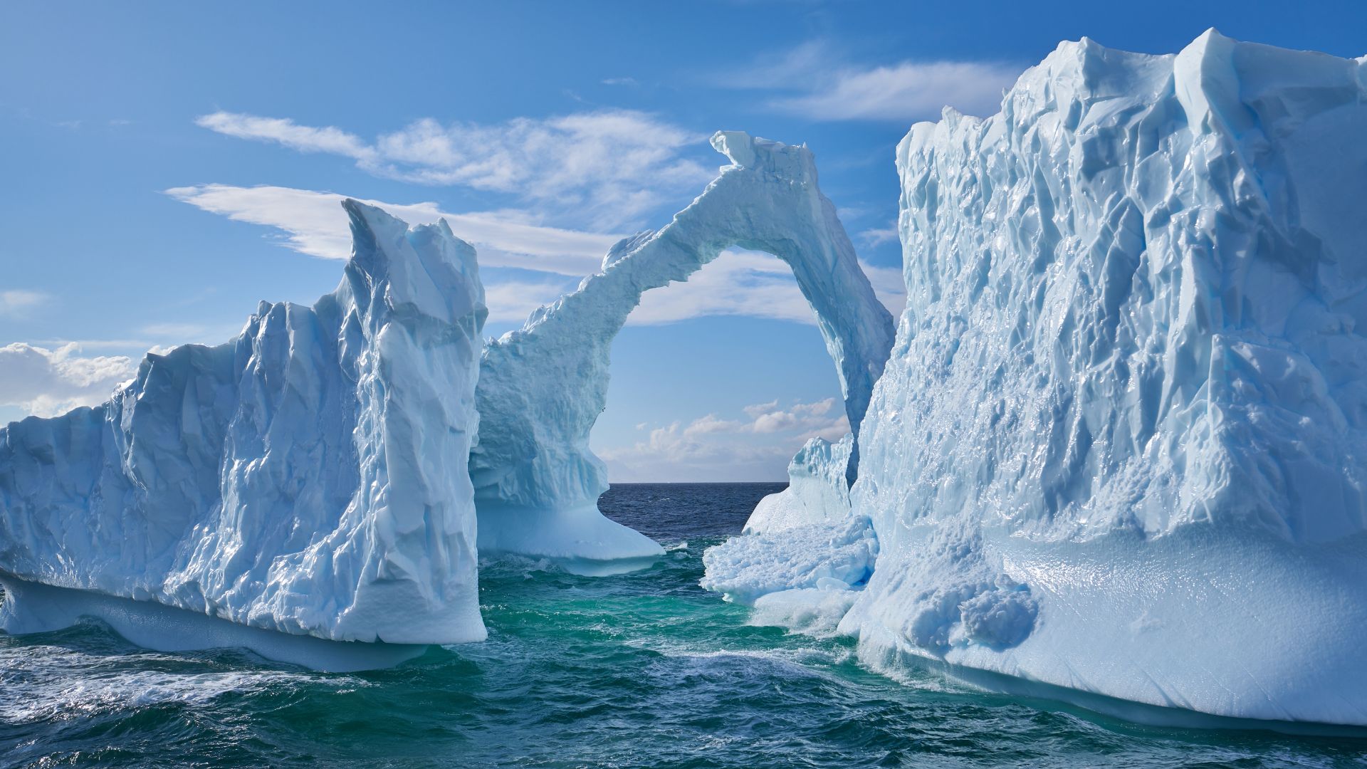 Antarktyda oferta, Antarktyda wycieczka, Antarktyda rejs