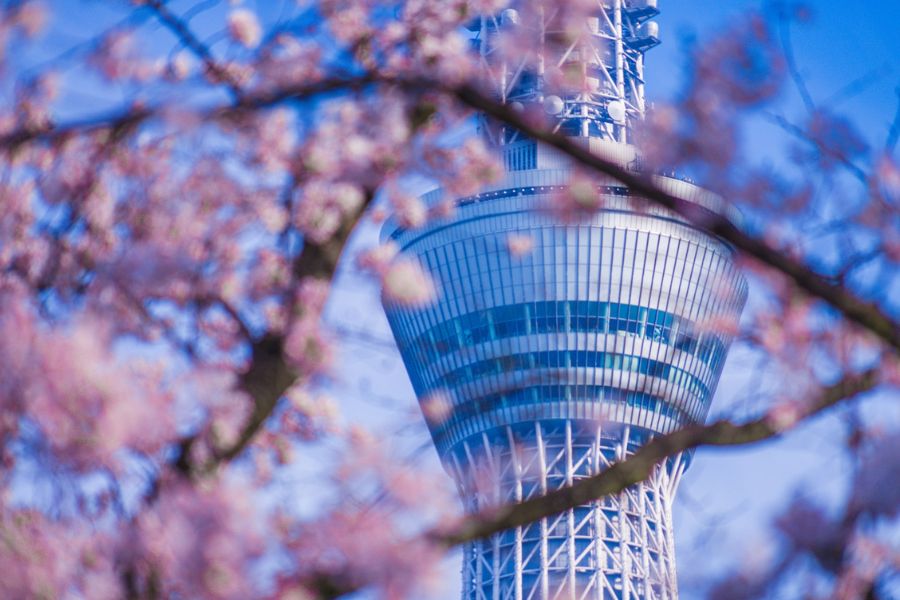 Japonia oferta, Japonia wycieczka, Japonia wakacje