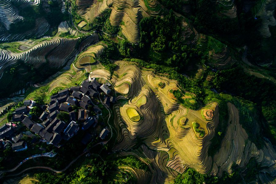 Chiny z polskim pilotem, Chiny polski przewodnik, Chiny 2026