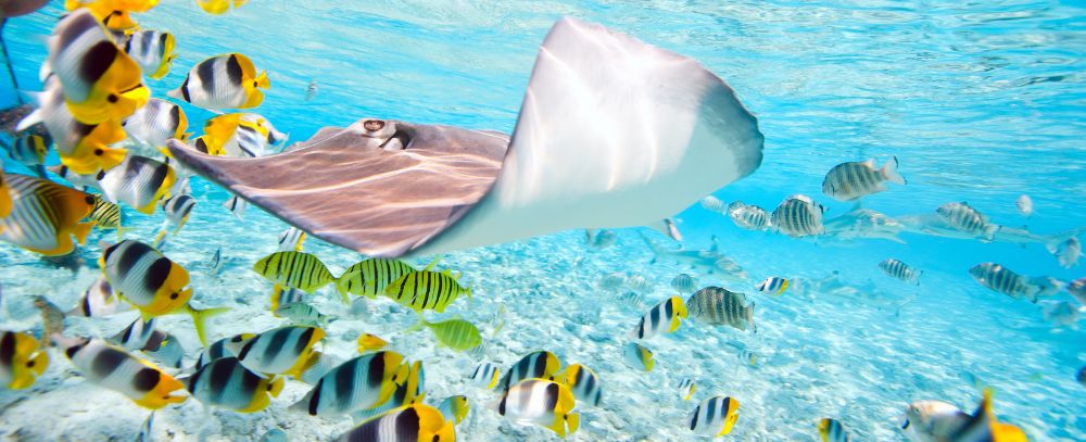 Polinezja Francuska, Bora Bora