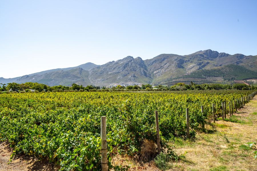 Święta w egzotyce 2026, gdzie na święta, zima w egzotyce