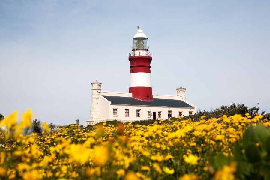 RPA oferta, RPA wakacje, RPA wycieczka