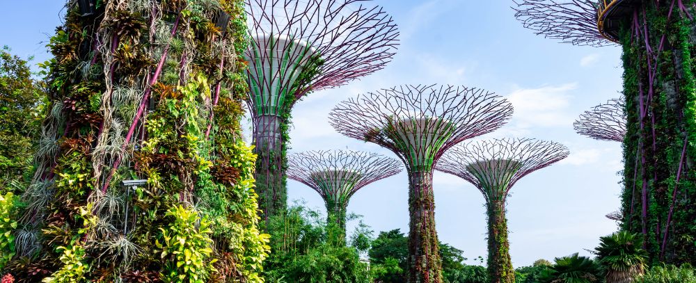 Singapur oferta, Singapur wycieczka, Singapur wakacje