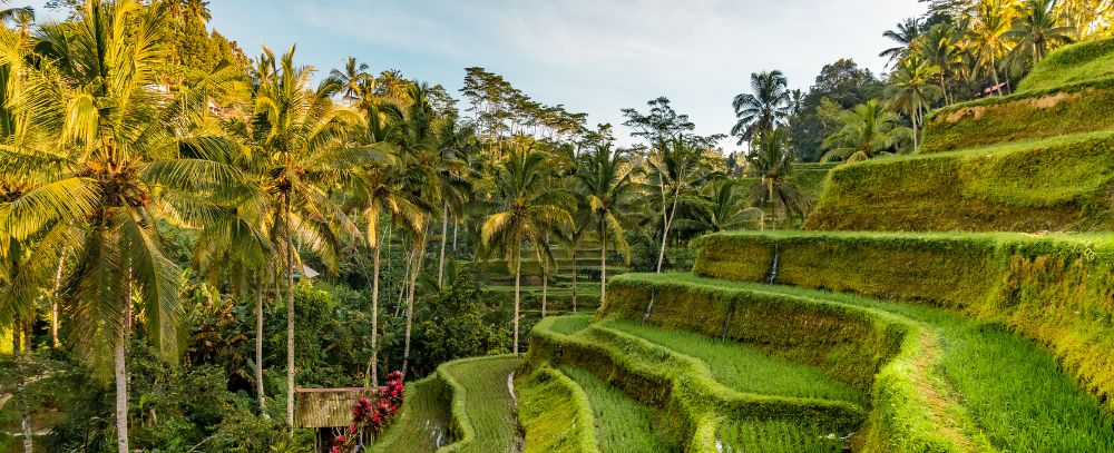 Bali oferta, Bali wycieczka, Bali wakacje