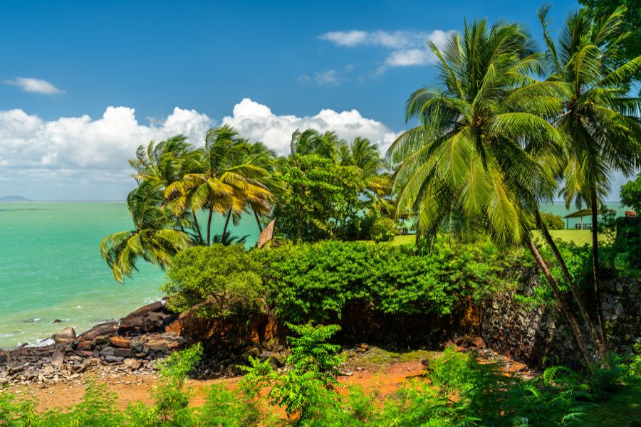 Gujana Francuska oferta, Gujana Freancuska wycieczka, Gujana Francuska wakacje