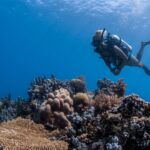 Indonezja oferta, Indonezja wycieczka, Indonezja WYSPY ANAMBAS I BAWAH RESERVE