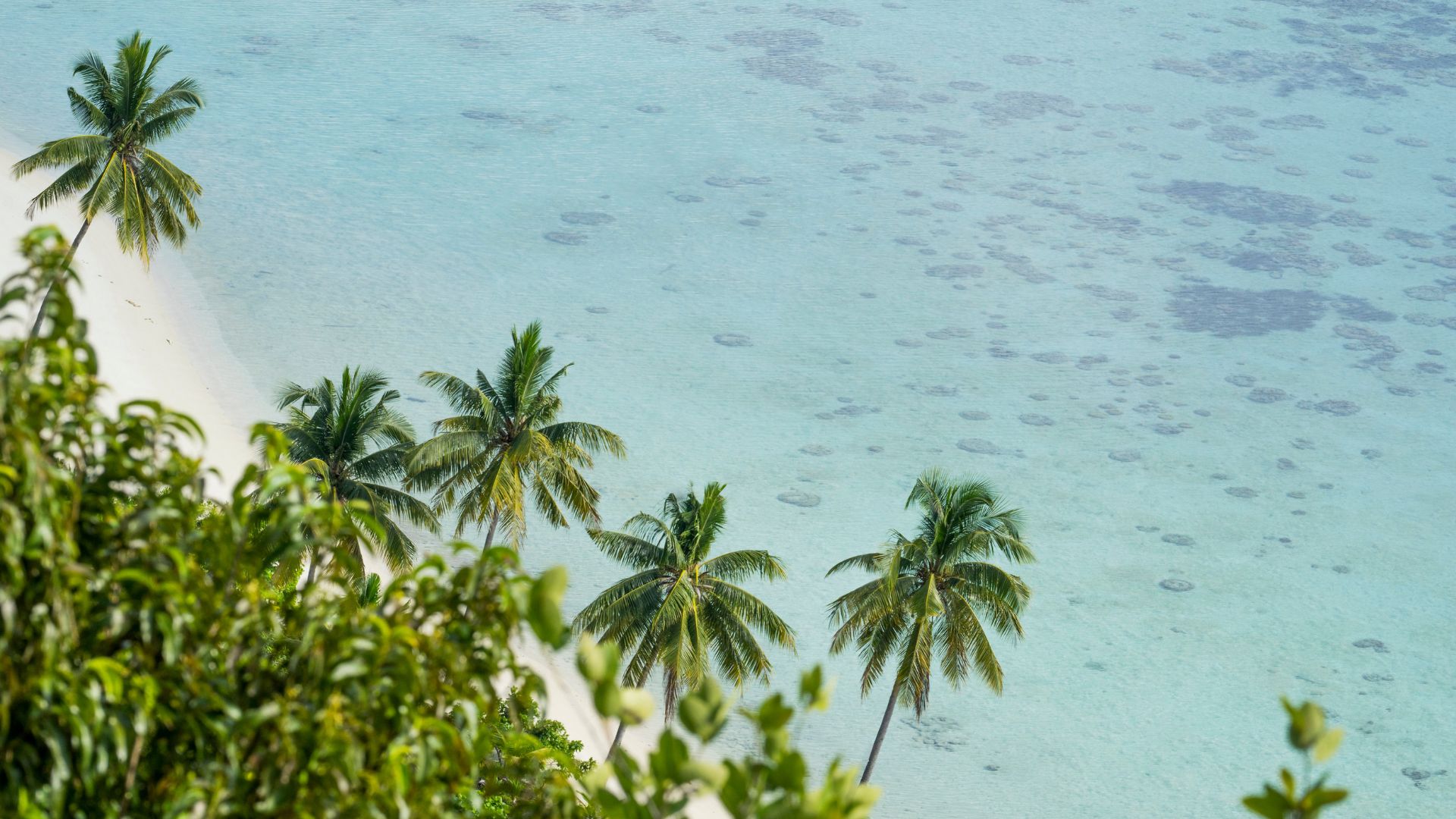 Indonezja oferta, Indonezja wycieczka, Indonezja WYSPY ANAMBAS I BAWAH RESERVE