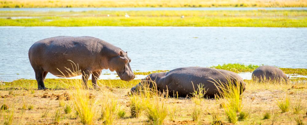 Uganda oferta, Uganda wakacje, Uganda wycieczka