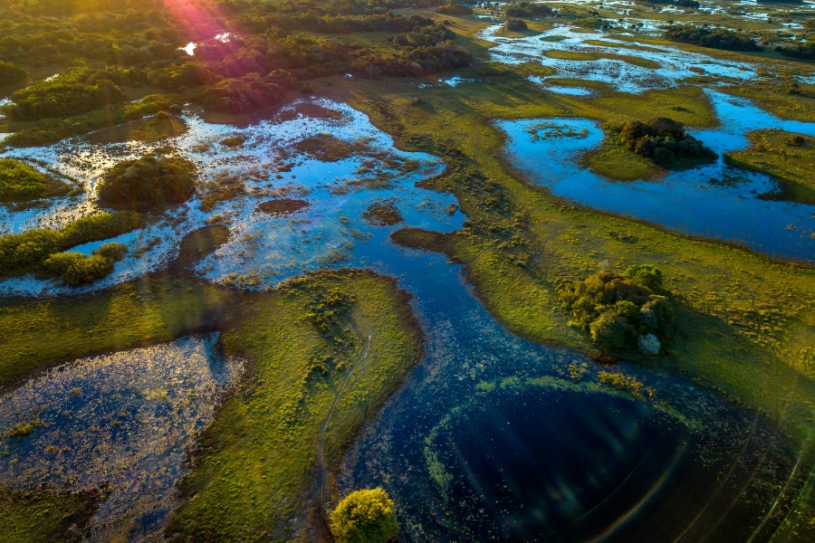 Pantanal oferta, Pantanal wycieczka, Pantanal wakacje