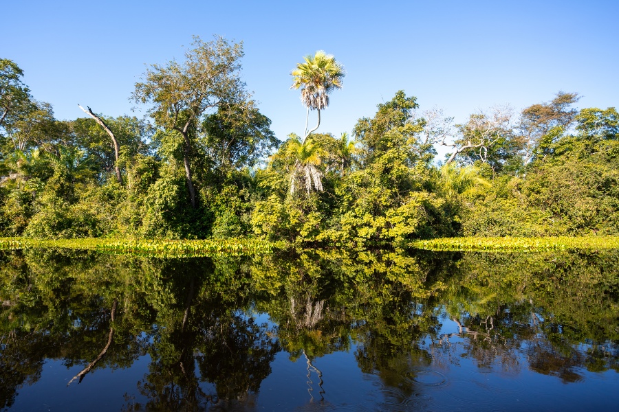 Pantanal oferta, Pantanal wycieczka, Pantanal wakacje