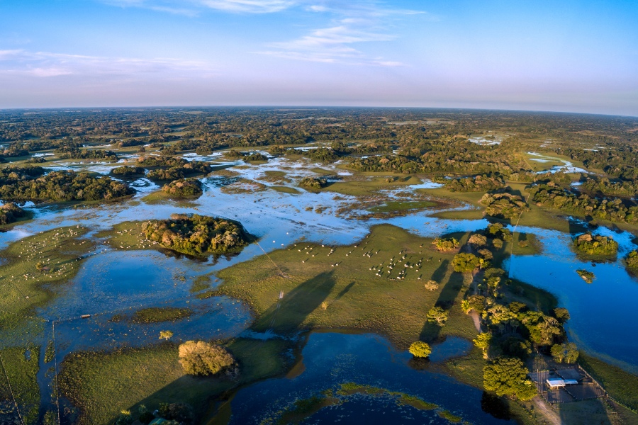 Pantanal oferta, Pantanal wycieczka, Pantanal wakacje