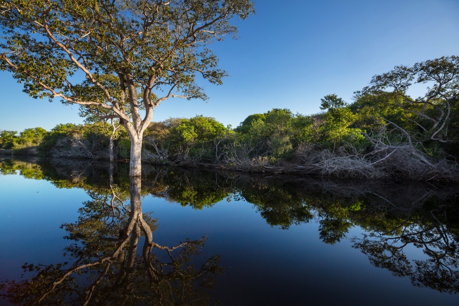 Pantanal oferta, Pantanal wycieczka, Pantanal wakacje