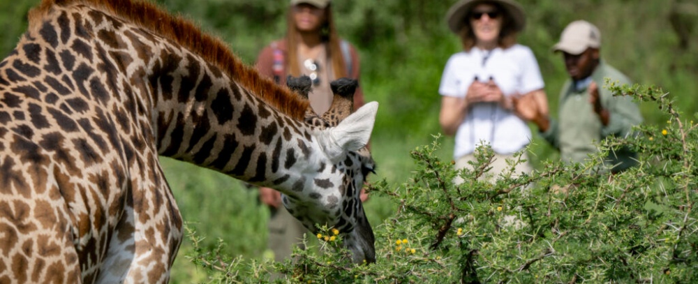 Tanzania oferta, Tanzania wycieczka, Tanzania wakacje