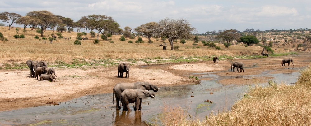 Tanzania oferta, Tanzania wycieczka, Tanzania wakacje