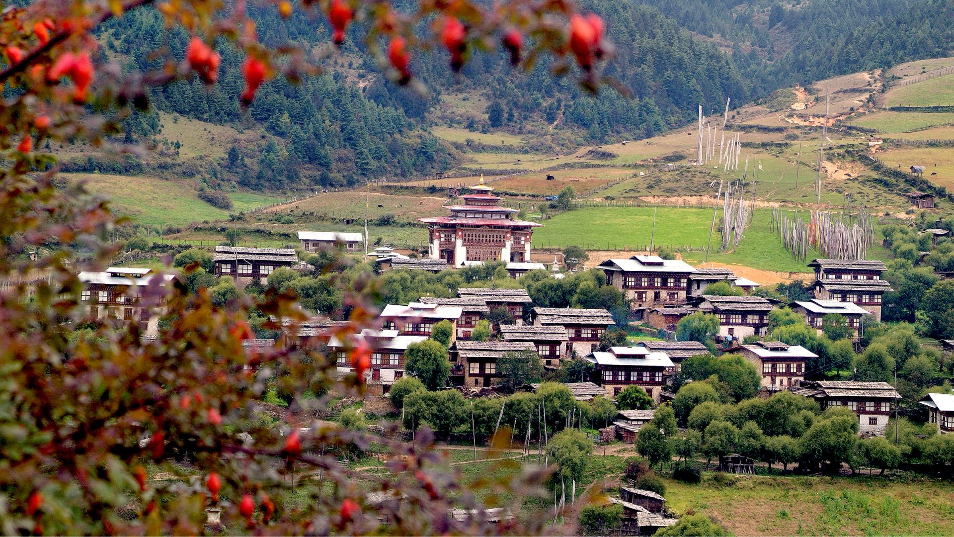 Bhutan oferta, Bhutan wycieczka, Bhutan wakacje
