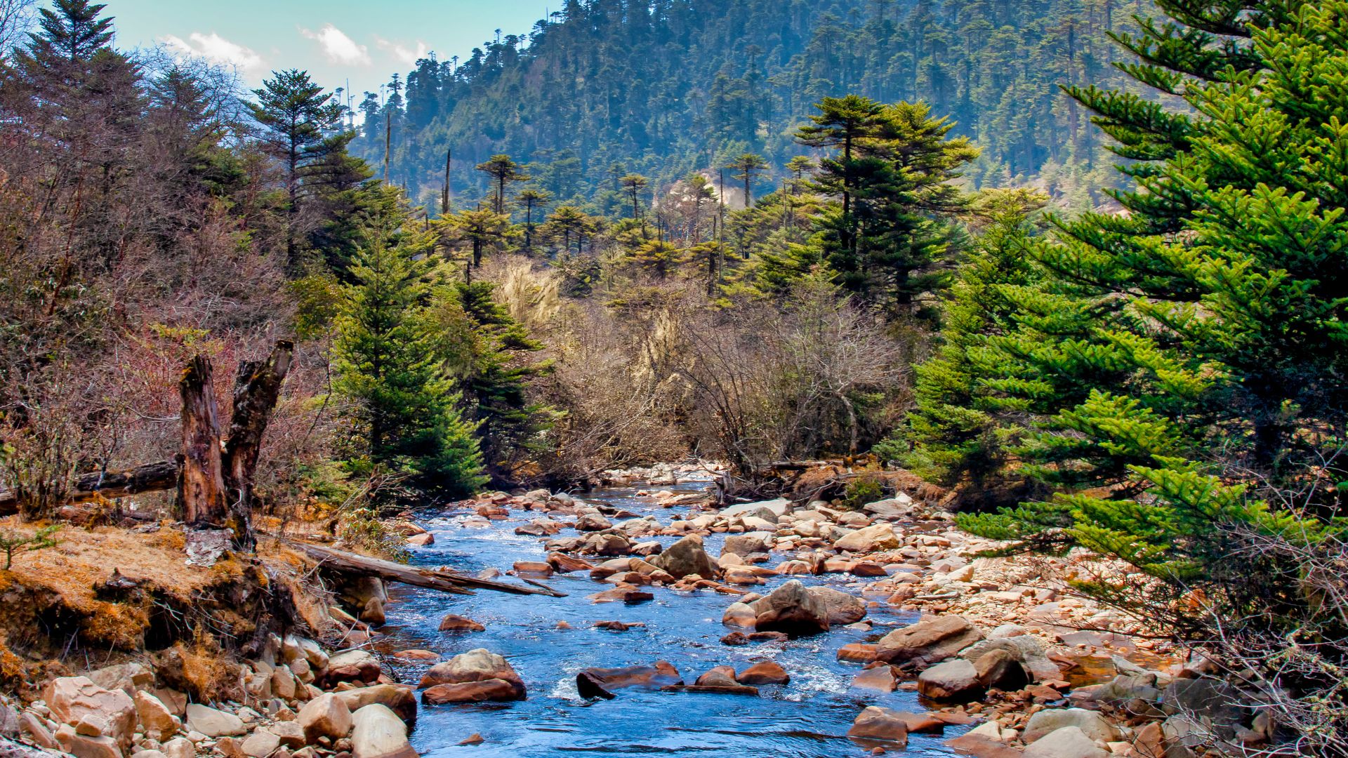 Bhutan oferta, Bhutan wycieczka, Bhutan wakacje
