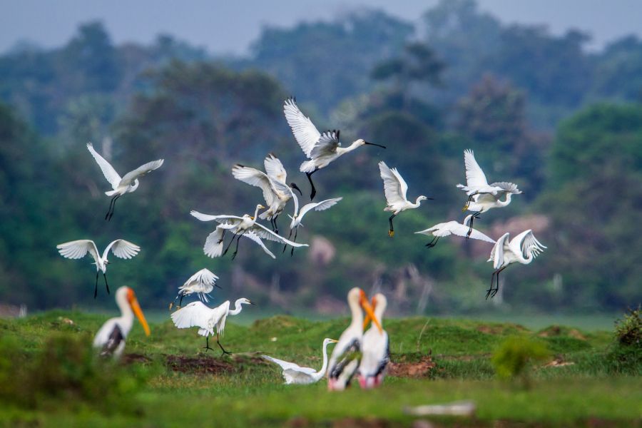 Sri Lanka oferta, Sri Lanka wycieczka, Sri Lanka wakacje
